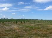 Объявление №5864150 - Гусар, Гусар, 122 сот