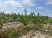 Продаётся  участок 122 сот, photo 7 from 8