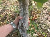 Продаётся  участок 122 сот, photo 6 from 8