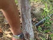 Продаётся  участок 122 сот, photo 3 from 8