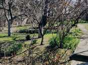 Satılır 3 otaqlı həyət evi/bağ evi 55 m², Biləcəri q., photo 3 from 8