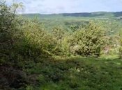 Объявление №5864306 - Губа, Губа, 18 сот