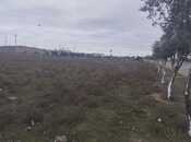 Объявление №5864734 - Баку, пос. Гала, 60 сот