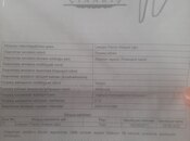 Satılır  torpaq 12 sot, Pirəkəşkül q., photo 2 from 3