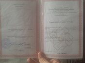 Satılır  torpaq 12 sot, Pirəkəşkül q., photo 3 from 3