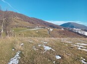 Объявление №5865314 - Исмаиллы, Исмаиллы, 52 сот