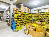 Продаётся  объект 265 м², м. 20 января, photo 8 from 8