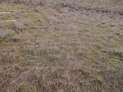 Satılır  torpaq 5 sot, Türkan q., photo 2 from 4