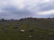 Elan №5865598 - Bakı, Masazır q., 100 sot