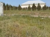 Объявление №5865716 - Баку, пос. Мамедли, 150 сот