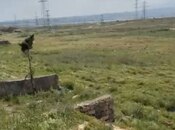 Продаётся  участок 150.3 сот, пос. Мамедли, photo 4 from 4