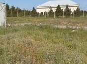 Продаётся  участок 150 сот, пос. Мамедли, photo 2 from 4