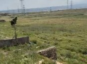 Продаётся  участок 150 сот, пос. Мамедли, photo 3 from 4