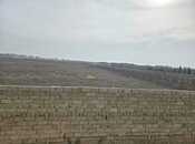 Satılır  torpaq 50 sot, Ələt q., photo 7 from 8