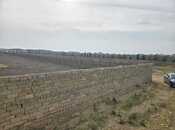 Satılır  torpaq 50 sot, Ələt q., photo 8 from 8