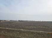 Satılır  torpaq 50 sot, Ələt q., photo 2 from 8