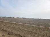 Satılır  torpaq 50 sot, Ələt q., photo 5 from 8