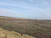 Satılır  torpaq 50 sot, Ələt q., photo 6 from 8