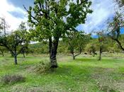 Продаётся  участок 138 сот, photo 4 from 4