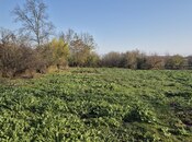 Продаётся  участок 12.5 сот, photo 7 from 8