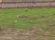 Продаётся  участок 4.5 сот, пос. Мамедли, photo 2 from 3