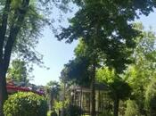 Объявление №5866378 - Мингечевир, Мингечевир, 1.3 сот