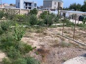 Продаётся  участок 4 сот, пос. Шувеляны, photo 6 from 8