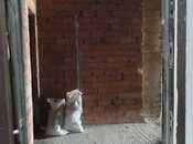 Продаётся 4-комн. новостройка 183 м², Наримановский  р., photo 8 from 8