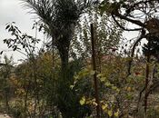 Satılır 4 otaqlı həyət evi/bağ evi 160 m², Suraxanı r., photo 4 from 8