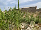 Продаётся  участок 62 сот, м. Ичеришехер, photo 2 from 4