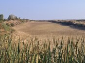 Продаётся  участок 4 000 сот, photo 3 from 8