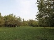 Объявление №5858468 - Баку, пос. Мардакан, 4 сот