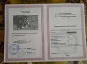 Продаётся  участок 3 сот, пос. Ени Сураханы, photo 5 from 5