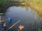 Satılır  torpaq 800 sot, photo 3 from 5