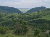 Объявление №5868060 - Шемаха, Шемаха, 12 сот