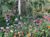 Продаётся 9-комн. дом/дача 650 м², пос. М. Расулзаде, photo 8 from 8