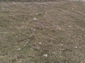 Объявление №5868262 - Шемаха, Шемаха, 24 сот