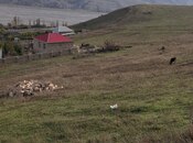 Satılır  torpaq 12 sot, photo 6 from 8