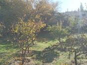 Satılır  torpaq 24 sot, Görədil q., photo 6 from 8