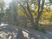 Satılır  torpaq 24 sot, Görədil q., photo 2 from 8