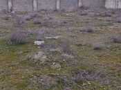 Satılır  torpaq 36 sot, Türkan q., photo 7 from 8