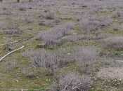 Satılır  torpaq 36 sot, Türkan q., photo 8 from 8