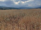 Satılır  torpaq 400 sot, photo 2 from 3