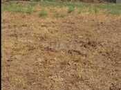 Продаётся  участок 4 сот, пос. Мехтиабад, photo 6 from 6