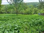 Объявление №5869248 - Исмаиллы, Исмаиллы, 12 сот