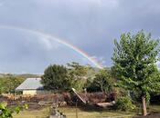 Продаётся  участок 12 сот, photo 6 from 8