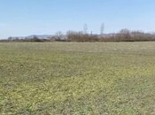 Satılır  torpaq 500 sot, photo 3 from 3