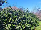 Продаётся 4-комн. дом/дача 200 м², photo 6 from 8