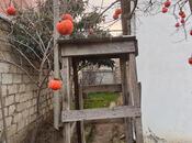 Satılır 4 otaqlı həyət evi/bağ evi 125 m², Qaraçuxur q., photo 5 from 8