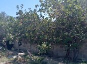 Satılır 6 otaqlı həyət evi/bağ evi 240 m², Kürdəxanı q., photo 6 from 8